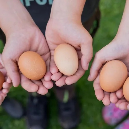 Dom wakacyjny Dorfkiek - Bauernhof Hopp Vadersdorf *