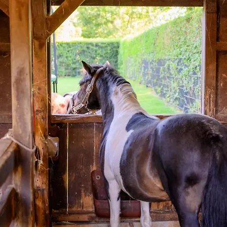 Dom wakacyjny Dorfkiek - Bauernhof Hopp Vadersdorf Fehmarn