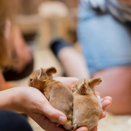 Dorfkiek - Bauernhof Hopp Vadersdorf Fehmarn