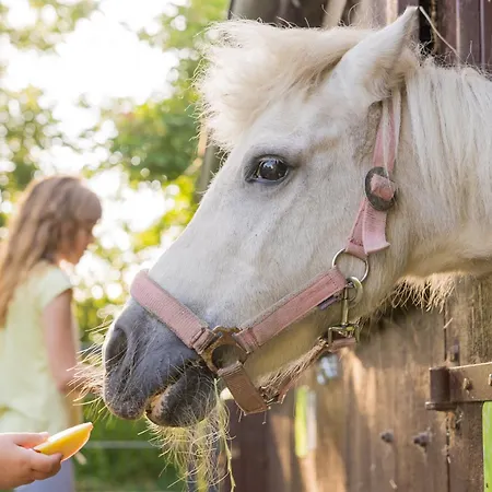 Dorfkiek - Bauernhof Hopp Vadersdorf Dom wakacyjny Fehmarn
